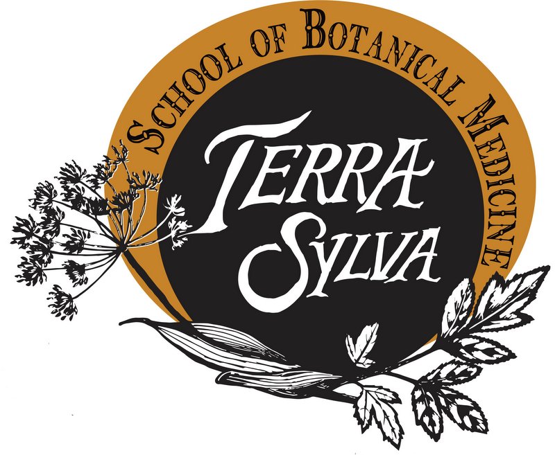 Terra Sylva School